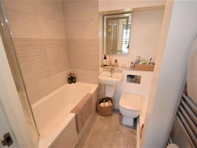 Picture 7